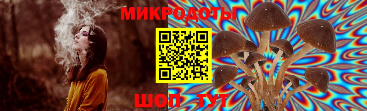Костомукша  закладка  Псилоцибиновые грибы прущие грибы  Вход с VPN  Галлюциногенные грибы прущие грибы 